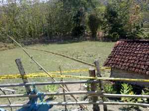 Geger Temuan Mayat Bayi Terkubur di Sumbawa Barat, Pelaku Diburu