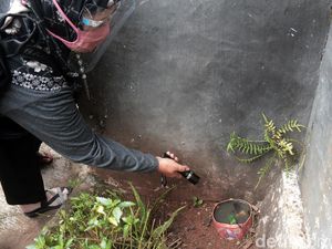 Kasus DBD di Pondok Labu Tinggi juga Diduga Akibat Banyak Lahan Kosong