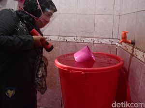 8 Cara Ampuh Membasmi Jentik Nyamuk 8 Cara Ampuh Membasmi Jentik Nyamuk