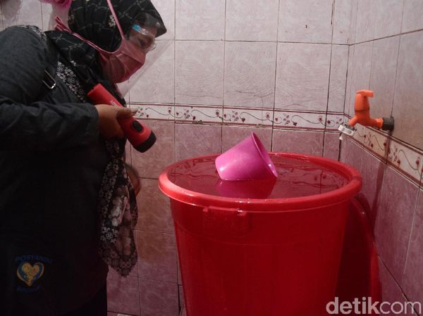 Operasi Jentik Nyamuk untuk Cegah DB di Depok