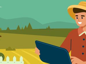 Intip Stok Pangan RI Kala Pandemi Intip Stok Pangan RI Kala Pandemi