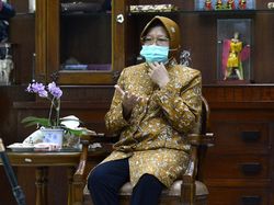 PKB Nilai Risma Kompeten Jadi Mensos