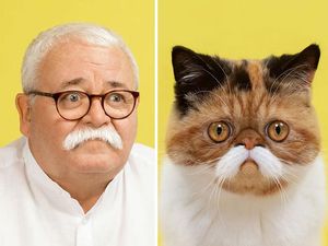 Potret Gemas Kucing dan Manusia yang Seperti Kembar