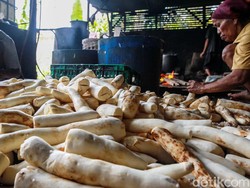 Potensi Ekspor Olahan Singkong