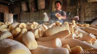 Melongok Pabrik Pembuatan Tape Singkong yang Eksis Sejak Tahun 70-an