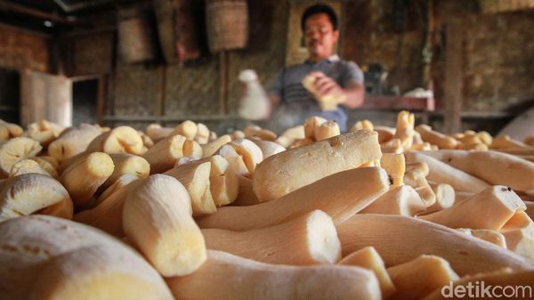 Melongok Pabrik Pembuatan Tape Singkong yang Eksis Sejak Tahun 70-an