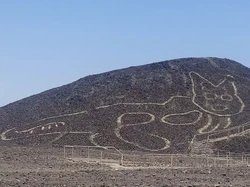 Ditemukan Sosok Kucing Raksasa Sepanjang 37 Meter di Peru