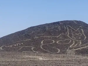 Ditemukan Sosok Kucing Raksasa Sepanjang 37 Meter di Peru Ditemukan Sosok Kucing Raksasa Sepanjang 37 Meter di Peru