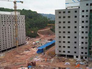 Untuk Cegah Wabah Flu Babi, China Menernakkan Babi di Kandang Bertingkat