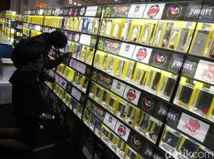 Mengintip Kontes Ikan Hias Betta dan Channa di Yogyakarta