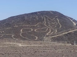 Gambar Kucing Raksasa Usia Ribuan Tahun Muncul di Nazca