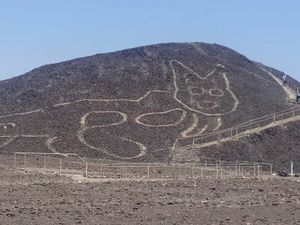 Gambar Kucing Raksasa Usia Ribuan Tahun Muncul di Nazca Gambar Kucing Raksasa Usia Ribuan Tahun Muncul di Nazca