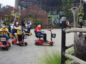 Lembang Park and Zoo Tambah Satwa Berbadan Besar