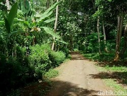 Di Dusun Sibimo Hanya Boleh Ada 7 Rumah, Apa yang Terjadi Kalau Lebih?