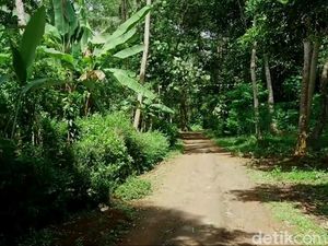 Di Dusun Sibimo Hanya Boleh Ada 7 Rumah, Apa yang Terjadi Kalau Lebih? Di Dusun Sibimo Hanya Boleh Ada 7 Rumah, Apa yang Terjadi Kalau Lebih?