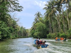 Pesona Alam Sungai Maron Pacitan Serasa di Sungai Amazon