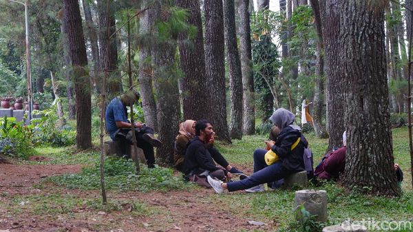 Tahura Djuanda Bandung Kembali Hidup