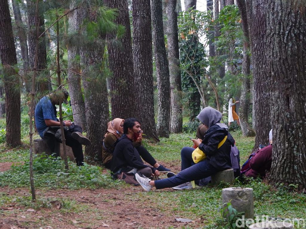 Berakhir Pekan di Taman Hutan Raya Bandung