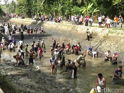 Melihat Ramainya Bebersih Sungai Silekor, Tradisi Jelang Musim Hujan