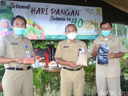 Dinas Pertanian Banyuwangi Bagi-bagi Bibit Pangan dan Sayuran