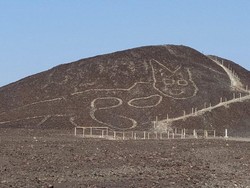Gambar Kucing Bersantai yang Dibuat 2.000 Tahun Lalu Ditemukan di Peru