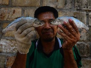 Geliat Usaha Bandeng Presto Juwana