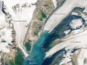 Pulau Baru Muncul di Alaska Akibat Gletser Cair, Pertanda Apa? Pulau Baru Muncul di Alaska Akibat Gletser Cair, Pertanda Apa?