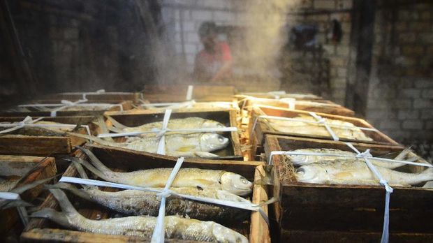 Pekerja memasukkan ikan bandeng ke dalam panci presto di Desa Dukutalit, Juwana, Pati, Jawa Tengah. ANTARA FOTO/YUSUF NUGROHO