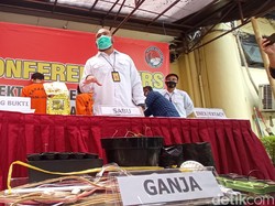 Tanam Bibit Ganja Asal Amerika, Pria di Bandung Ditangkap Polisi