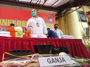 Tanam Bibit Ganja Asal Amerika, Pria di Bandung Ditangkap Polisi Tanam Bibit Ganja Asal Amerika, Pria di Bandung Ditangkap Polisi