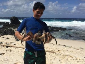 Warga Asal China di Australia Ada Juga yang Memilih Tinggal di Daerah Pedesaan