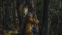 Bikin Terpukau! Ini Karya Jawara Wildlife Photographer Of The Year 2020