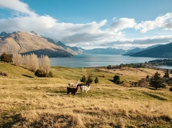 Asyik! Lokasi Syuting Lord of the Rings Kini Bisa Dijelajahi