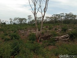 5 Tempat Angker di Kediri yang Menyimpan Cerita Mistis