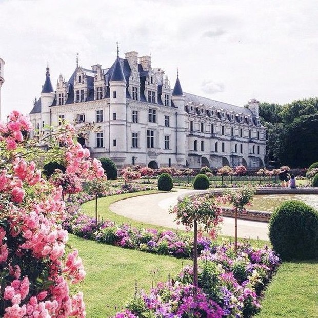 Jardin du Luxembourg/pinterest.com/wattpad Pemandangan landscape yang menawan dan taman bunga sedang merekah indah.