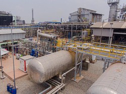 RI Buka Marketplace Khusus Karbon, Begini Bentuknya