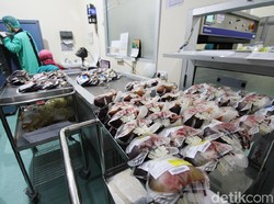 Pemerintah Aceh Meminta Polisi Usut Pengiriman Darah ke Tangerang