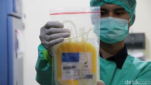 PMI Solo Tambah Stok Plasma Darah Konvalesen