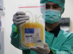 Jubir Satgas COVID-19 Ajak Penyintas COVID-19 Donor Plasma Darah, Ini Caranya