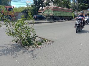Cegah Pemotor Jatuh, Warga Tanam Pohon di Lubang Jalan Yos Sudarso Medan Cegah Pemotor Jatuh, Warga Tanam Pohon di Lubang Jalan Yos Sudarso Medan