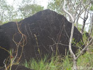 Foto: Situs Megalitikum Papua yang Jarang Orang Tahu Foto: Situs Megalitikum Papua yang Jarang Orang Tahu