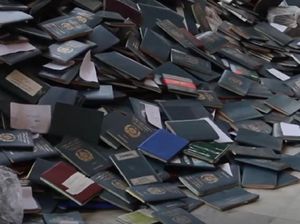 Video Ribuan Orang Berdesakan Urus Visa, 11 Orang Tewas Terinjak