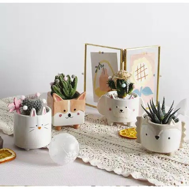 Dreamer House (huaya.id)/shopee.co.id/huaya.id Pot-pot lucu yang dijual Dreamer House cocok buat kamu yang hobi menanam kaktus mini!
