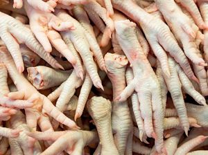 Benarkah Ceker Ayam Mengandung Kolesterol Tinggi? Ini Kata Ahli