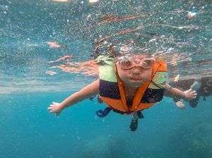 Gempi yang Seru-seruan Snorkeling di Pulau Macan