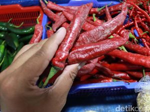 Harga Cabai di Bandung Pedas Banget