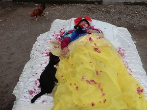 Kekeyi Jadi Putri Salju Menunggu Pangeran, Tidur Dikelilingi Ayam dan Kucing Kekeyi Jadi Putri Salju Menunggu Pangeran, Tidur Dikelilingi Ayam dan Kucing