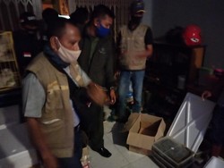 Jual Ribuan Labi-labi Moncong Babi, Pria di Sulsel Ditangkap