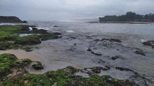 This picture was taken on Rancabuaya Beach. There was coral reefs along the beach. Part of coral reefs surface were covered with moss. This view would be clear to see at low tide. This beach was located at southern of Garut regency, West Java.