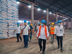 Kontribusi Petrokimia Gresik di Sektor Pertanian, Apa Saja?